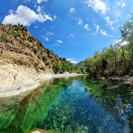 Domaine U Filanciu - Casa Ghjulia - Centru Di Corsica Villa Moltifao Buitenkant foto
