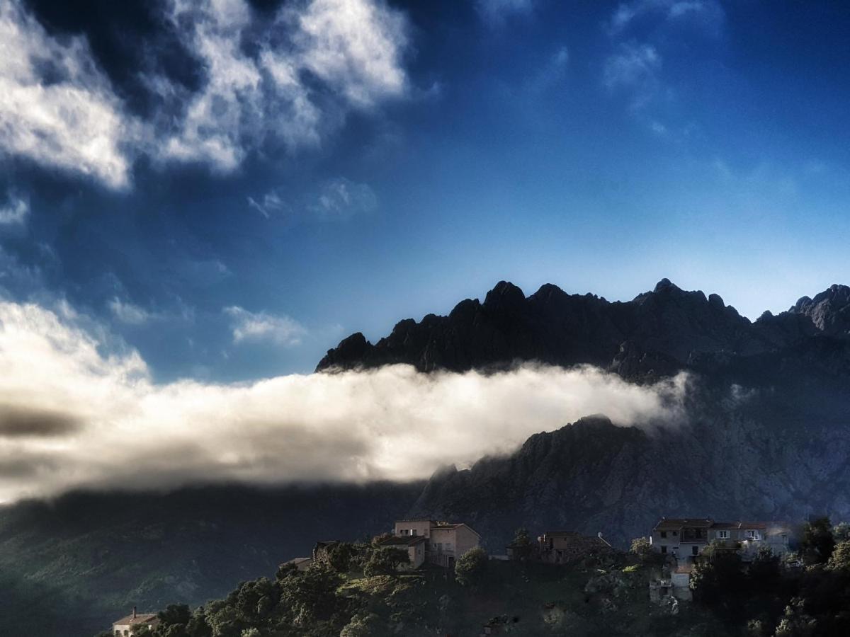 Domaine U Filanciu - Casa Ghjulia - Centru Di Corsica Villa Moltifao Buitenkant foto