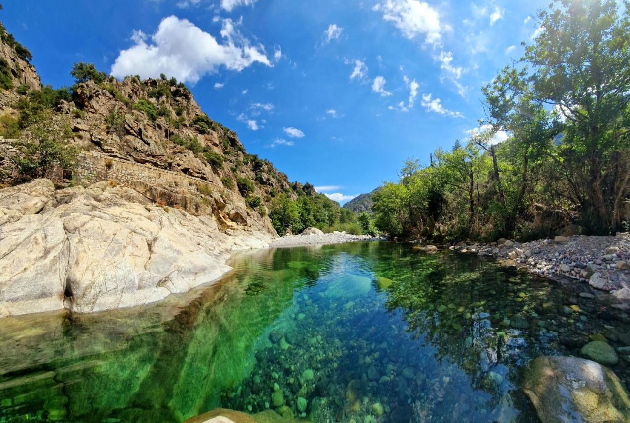 Domaine U Filanciu - Casa Ghjulia - Centru Di Corsica Villa Moltifao Buitenkant foto